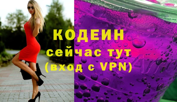 mdpv Вяземский