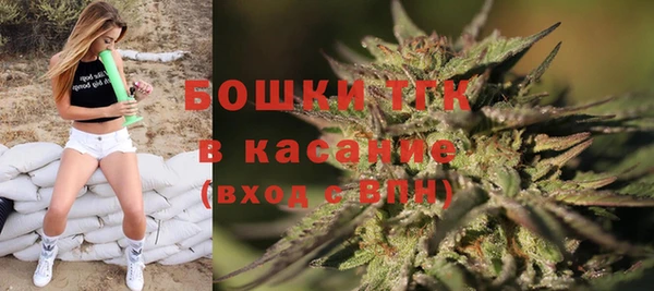 mdpv Вяземский