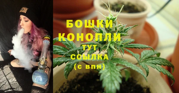 эйфоретик Вязники
