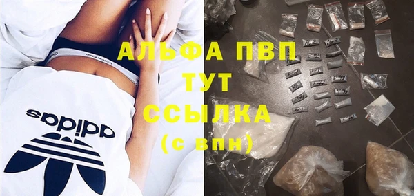 Альфа ПВП Горно-Алтайск